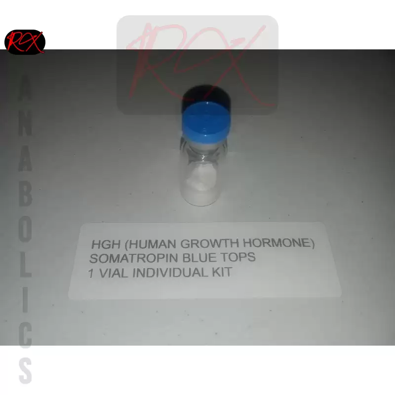 Human Growth Hormone (HGH) - Image 3